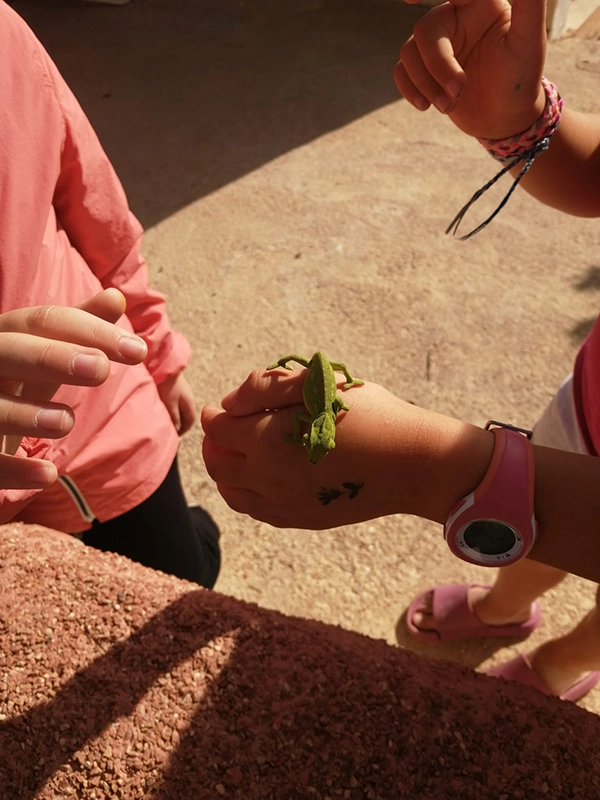 Garçon avec caméléon