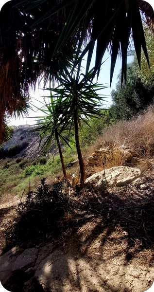 Environnement et installations